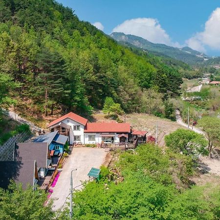 Samcheok Deulre Pension Экстерьер фото